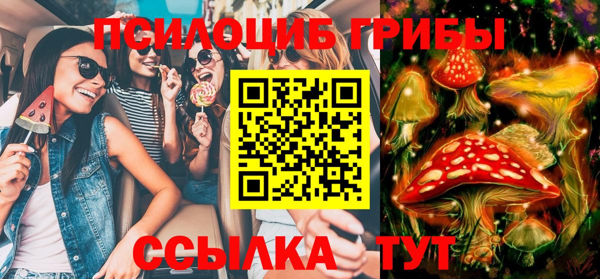 Псилоцибиновые грибы GOLDEN TEACHER Сухой Лог