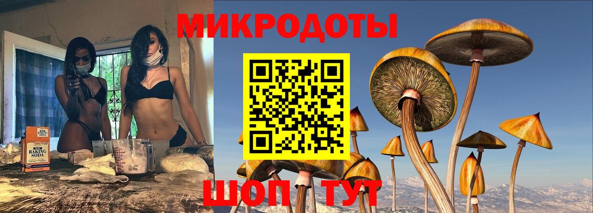 Сухой Лог  Псилоцибиновые грибы мухоморы  Вход с VPN 