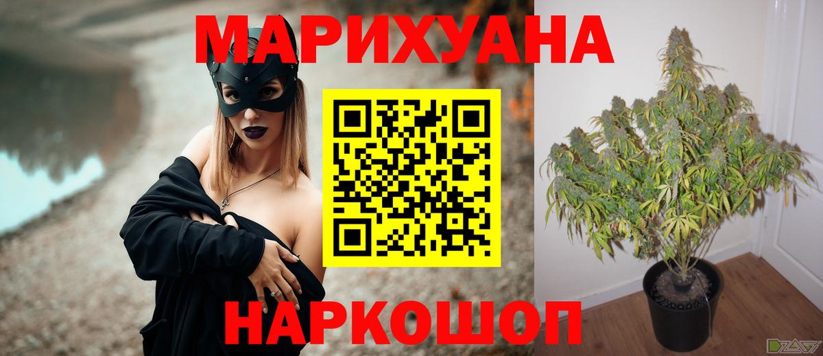 Конопля план Сухой Лог